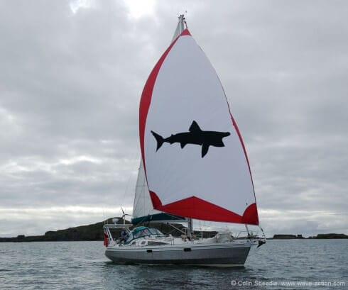 We have improved her light airs performance with an asymmetrical spinnaker, which sets from a gennaker furler mounted on a detachable bowsprit. And the shark? Pelerin is French for basking shark, a creature which played a large part in our previous life.