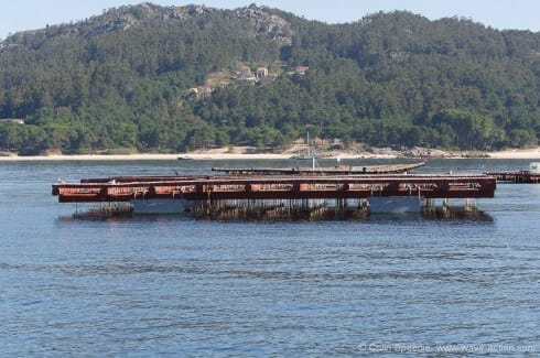 A viveiro - there are literally thousands of these structures throughout the Rias, mainly supporting mussel cultivation, but other shellfish such as queen scallops are now being raised, too.