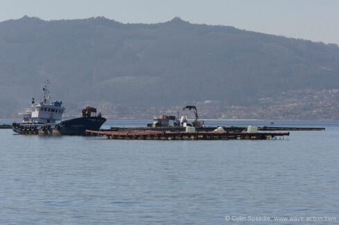 Access is generally possible between the viveiros, as the mooring lines are vertical beneath them. This allows the vessels that work them to access them from all sides. Larger channels between them exist in many port approaches.