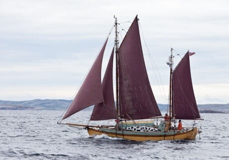 40 ft ferrocement sailboat