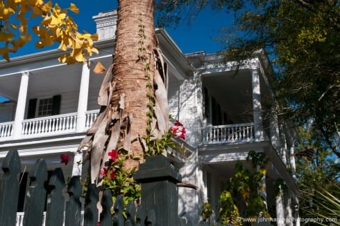 I don't normally like shots that are this busy. But for me, somehow this composition works, although it breaks many of the classic rules. I think that maybe it's the way the shot gives you a feeling for the Charleston architecture and how the houses are set in a riot of lush vegetation.