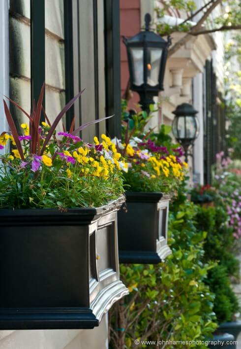 I struggled all winter to capture the way that house owners use flowering plants to adorn their dwellings. The problem is that it is all too easy to come away with just another picture of a window box that could be anywhere.