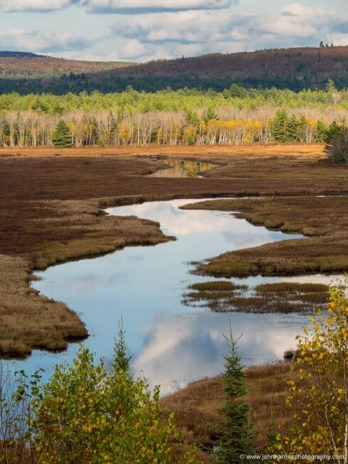 River winding through brown marsh with trees and hills in the background