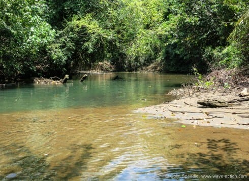 The tranquil Indian River- Dominica