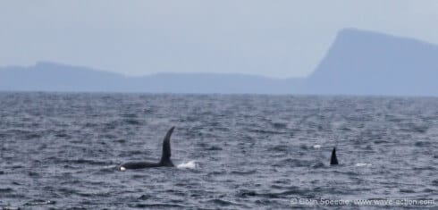 John Coe and friend, west of Canna 2014