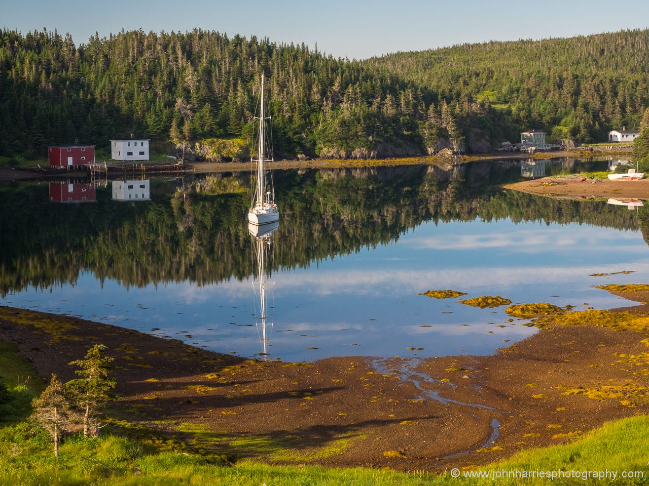 Oderin Island, Newfoundland—A Poignant Return
