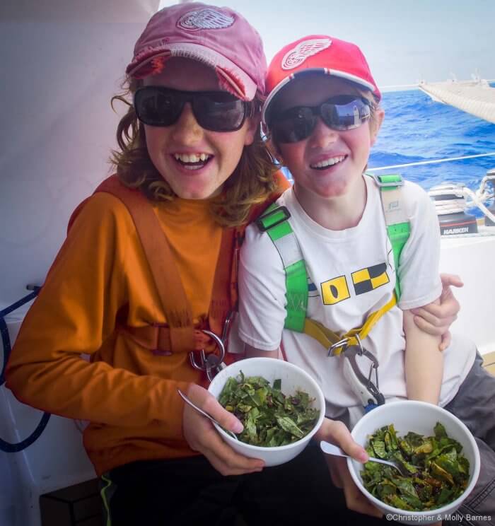 8-use-fresh-dandelion-green-salad-hand-picked-on-south-georgia