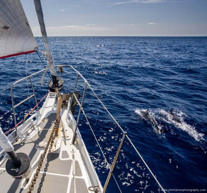 Bound for Bermuda with Dolphins, 2009.