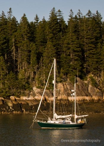 Evercoat Boat Yard Fiberglass Resin, Quart | Camping World
